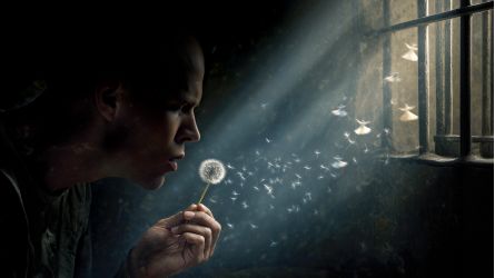 A Journey of Self-Discovery: From Darkness to Light